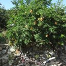 대지2리경로당 이미지