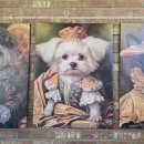 댕댕이맘마 | 속초 양양 애견동반 카페 노견 강아지 수제간식 추천 헬로맘마미아