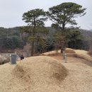 이재 선생 묘 이미지