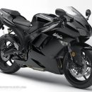 파파호두 이미지