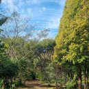 초이지아 이미지