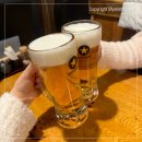 꼬치니 | 삿포로역 근처 이자카야 내돈내산 추천 와카무샤 예약 가격 후기