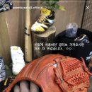 자갸즈 네이버블로그