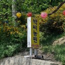 군장농원 | 인천 박씨농원 후기!