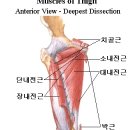 O 다리 교정법 입니다. 이미지