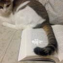 놀아줘 - 영등포구 선유동1로 6-7 | 놀아줘