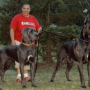 어울림B 이미지