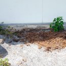 성우건설(주) 이미지