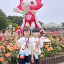 🌷은솔반의 울산대공원 장미 축제 견학🌹 이미지