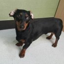 닥스 종합 이미지