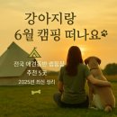 K-글램핑 애월점 | 반려견과 6월 캠핑 떠나기 좋은 전국 캠핑장 추천 5선 🐶 | 수영장·산책로·시설 총정리