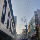 팔딱활아구&A9 | [부산부평동맛집/남포동맛집] 신선한 활아구를 맛 볼 수 있는 팔딱활아구&A9