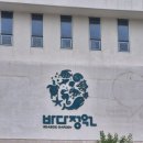속초다육 | 블루핏다이브 속초 감성카페 탐방 1편다이빙 후 힐링하기 좋은 바다 앞 카페, ‘바다정원’