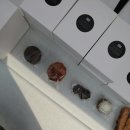 푸디마켓 이미지