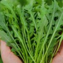 다정한 농장 이미지