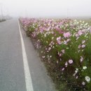 춘포면-12 이미지