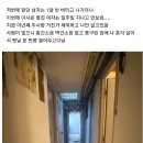 개쓰레기라 본인 층에 몇년째 혼자 산다는 아파트 상태 ㄷㄷㄷㄷ..JPG 이미지