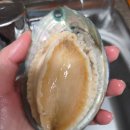 완도청정마켓 청산도수산 전복 구매후기 및 전복 손질 꿀팁