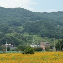 구례군청소년수련원 이미지