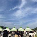 송도 맥주축제 후기