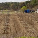 태수농장 이미지