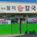 물치손칼국수