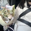 마니83