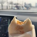 1박2일 | 주문진 오션뷰 숙소 추천｜스테이수안 1박2일 후기