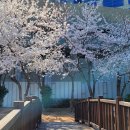 해수천1호 이미지