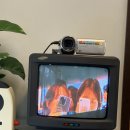 고양이묭실 | 나의 몽샹몽샹 아기 고양이 성호야 (많이 늦었지만) 생일 축하해🐱🥳 | #성호생카 #원도어로그