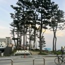 터미널14번길 이미지