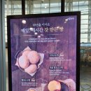 신세계약국 ~ 남문약국 | 대구 3대 빵집, 삼송빵집 통옥수수빵 후기. 삼송빵집 동대구역사점.