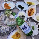 청양활어회타운 | [부산]부산광안리 횟집 ‘경포횟집’ 푸짐한 스끼다시 회리필 서비스까지 주는 맛집