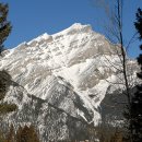 다운타운 주유소 이미지