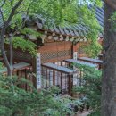 로이엘포토그라피