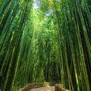 태화강펜션 이미지