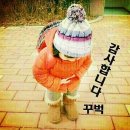 짱다육