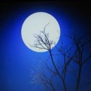 가온유치원 이미지