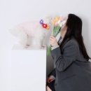 호야스튜디오 이미지