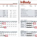 바디힐짐