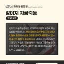 광장동물병원 이미지