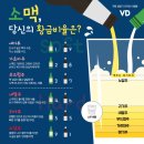 황금상회 이미지