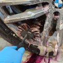 루페스 빅풋 디테일링센터 일산 이미지