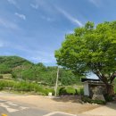 굴지강변로 이미지