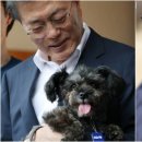 토리 이미지