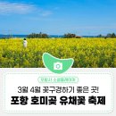 3월 17일 포항 호미곶 유채꽃축제 해안길트레킹~구룡포항~죽도시장 이미지
