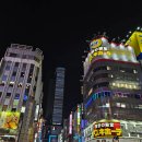 그레이스쇼핑 | 호텔 그레이스리 신주쿠 내돈내산 할인 예약 숙소 후기