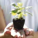 우미린 센트럴파크 이미지