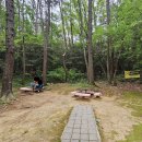 몰운대 시비 이미지