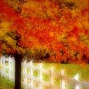 어느멋진날에 2 이미지